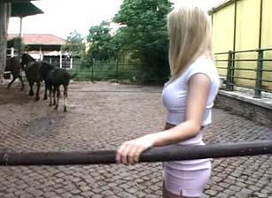 Kelly's Lost Movie, Scene 02 Kelly's Lost Movie, Scene 02