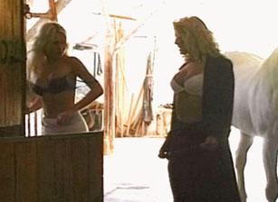 Sexual Superstars, Scene 03 Sexual Superstars, Scene 03