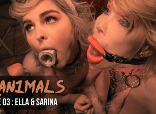 Tran1mals, Scene 03 Tran1mals, Scene 03